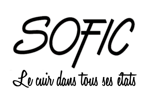 logo Sofic baseline